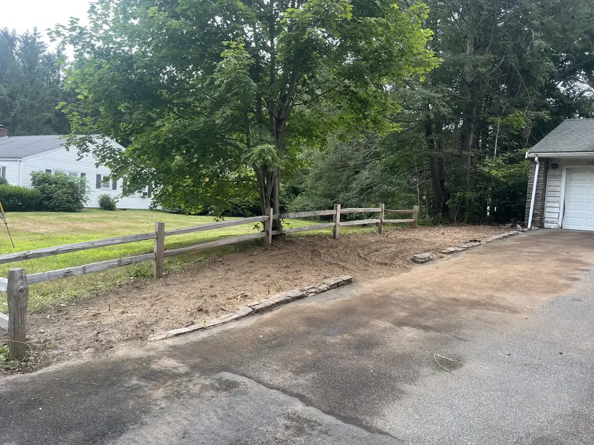 Driveway edge clearing - After