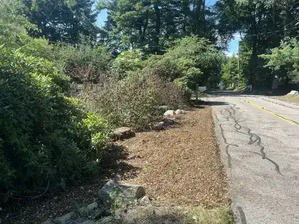 Roadside Clearing & Mulch - completed work