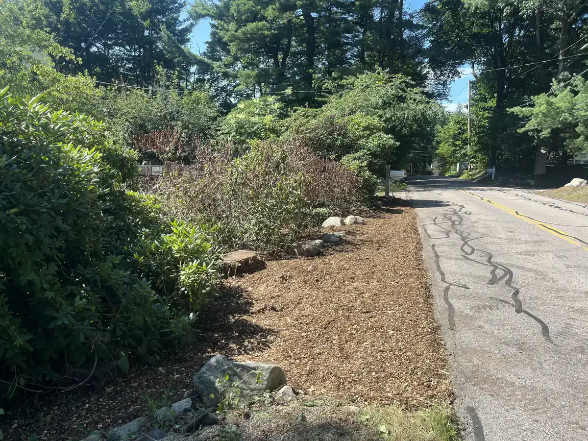 Roadside clearing with fresh mulch - After