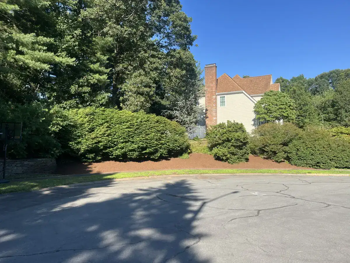 Landscape Renovation - After