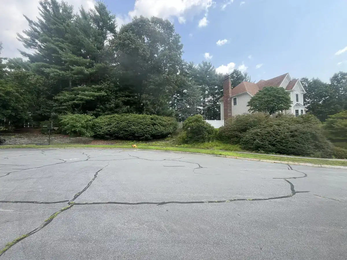 Landscape Renovation - Before