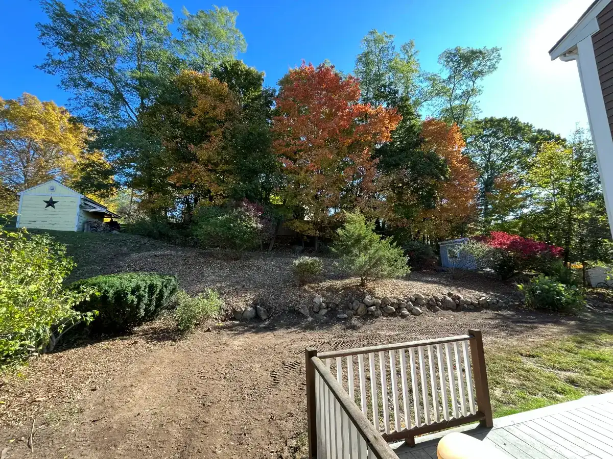 Overgrown yard clearance - After