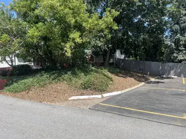 Commercial Lot Cleanup - completed work