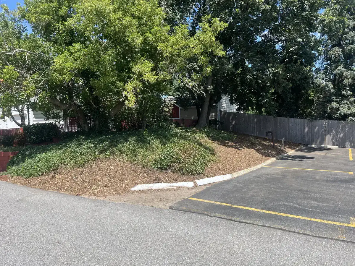 Commercial lot cleanup - After