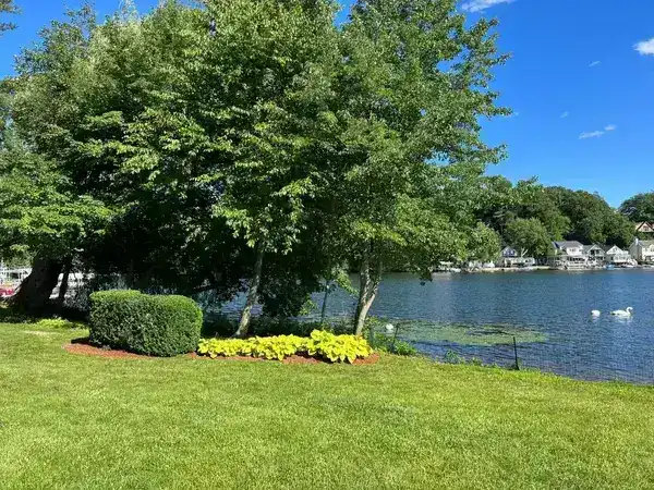 Lakefront property landscape maintenance