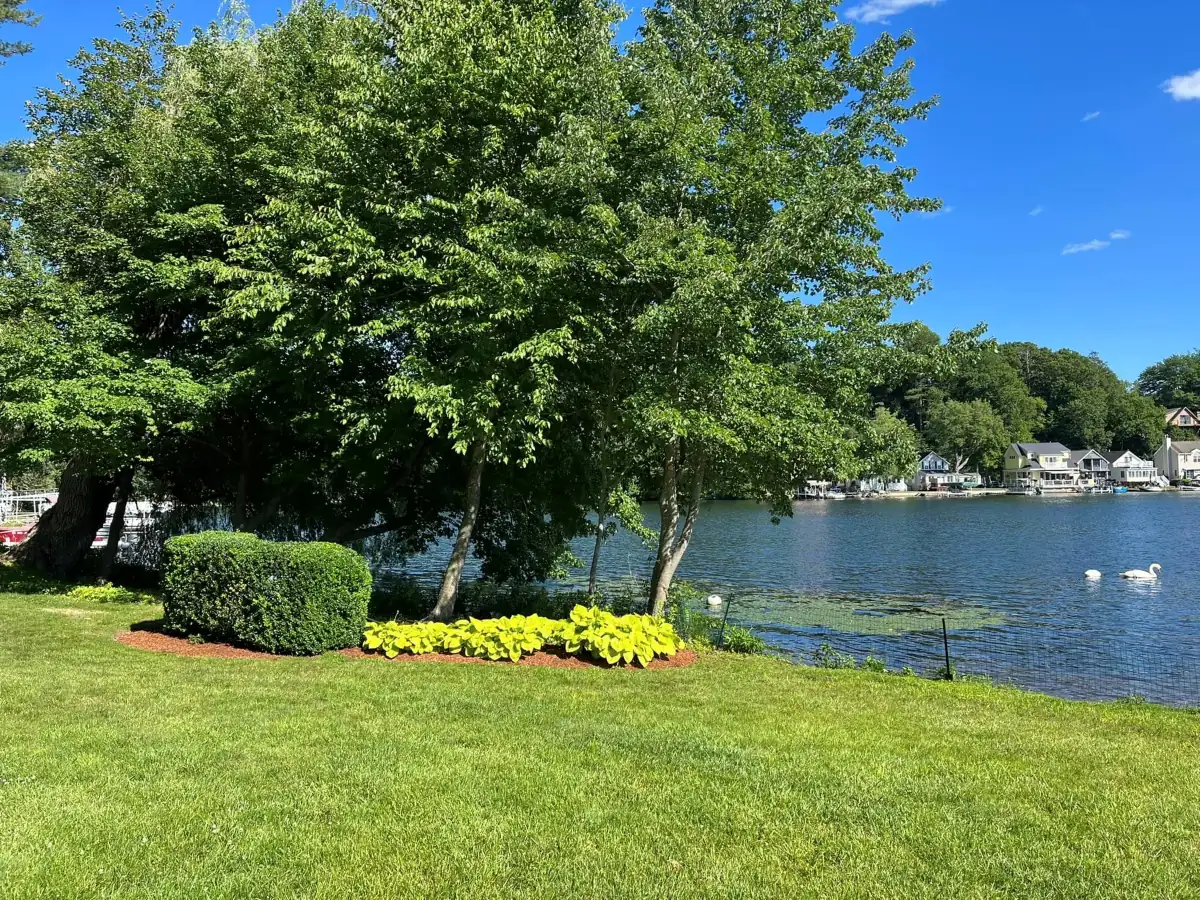 Lakefront property with manicured shrubs and hostas
