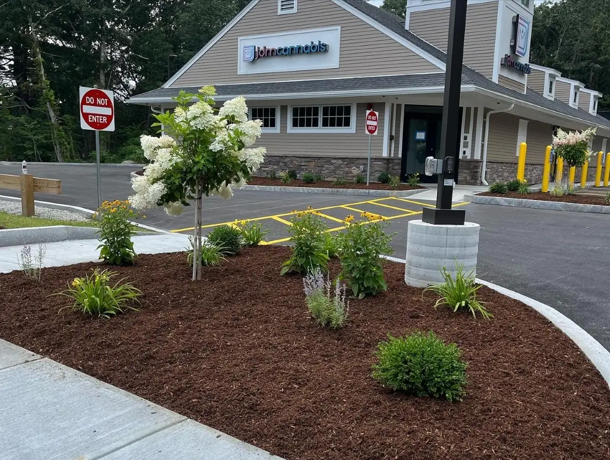 Commercial retail storefront mulch and planting installation