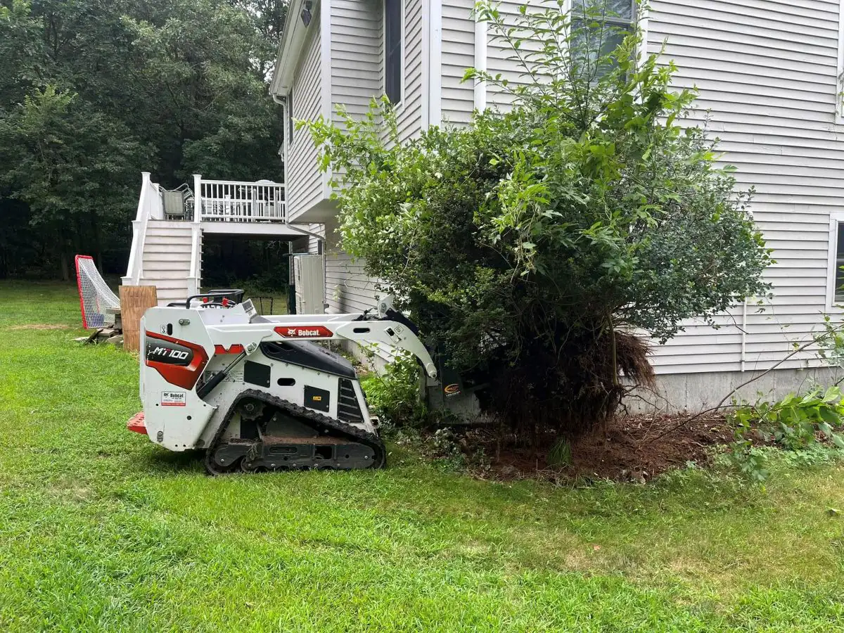 Residential shrub removal with mini track loader