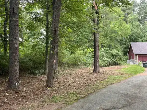 Brush & Shrub Line Clearing - completed work