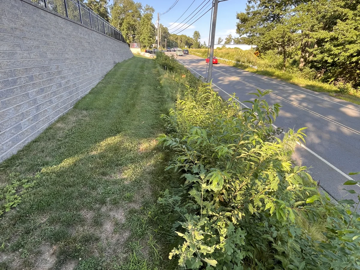 Commercial roadside embankment brush cleared to clean maintained lawn edge - Before
