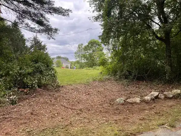 Roadside Overgrowth Clearing - completed work