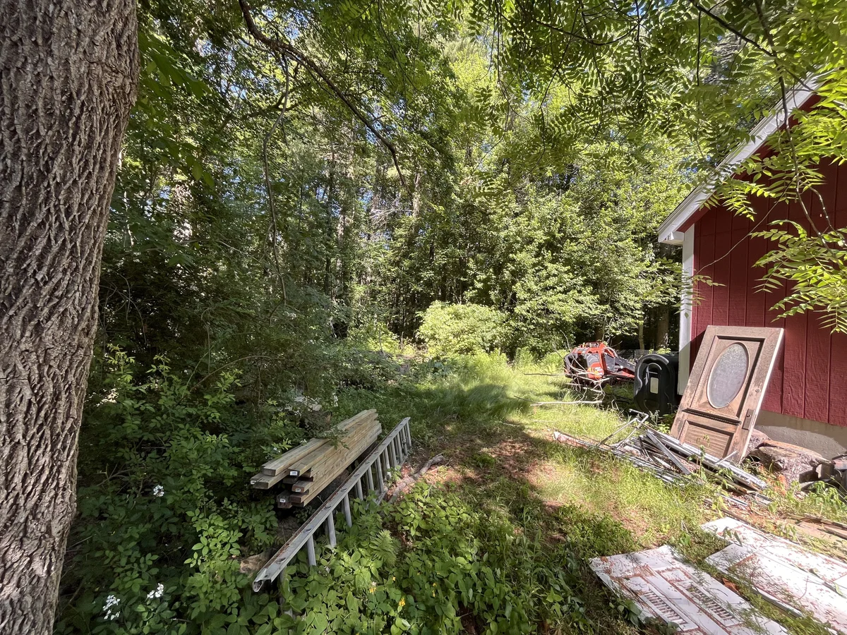 Overgrown wooded side yard cleared of brush and debris beside a red barn - Before