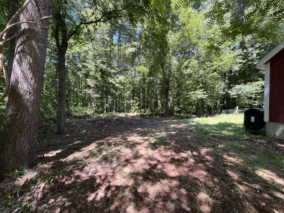 Overgrown wooded side yard cleared of brush and debris beside a red barn - After