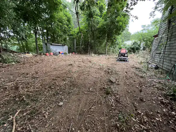Wooded Backyard Clearing - completed work
