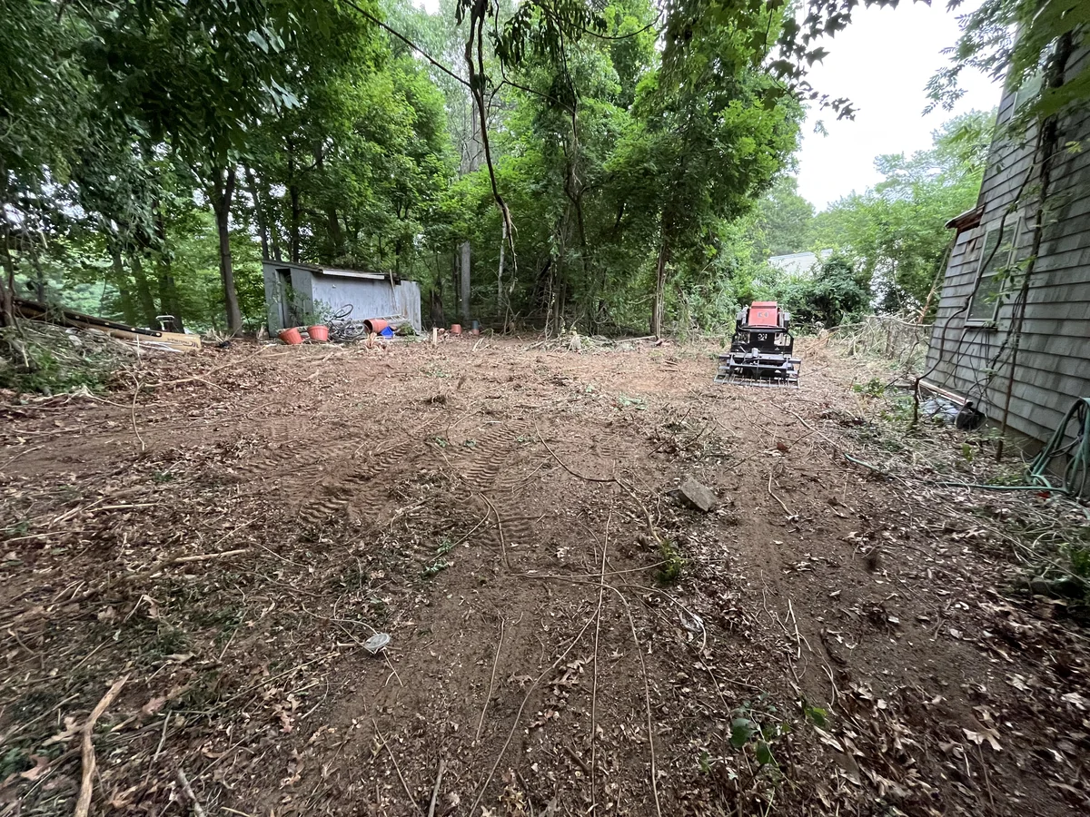 Densely wooded residential backyard cleared to open ground with skid steer - After