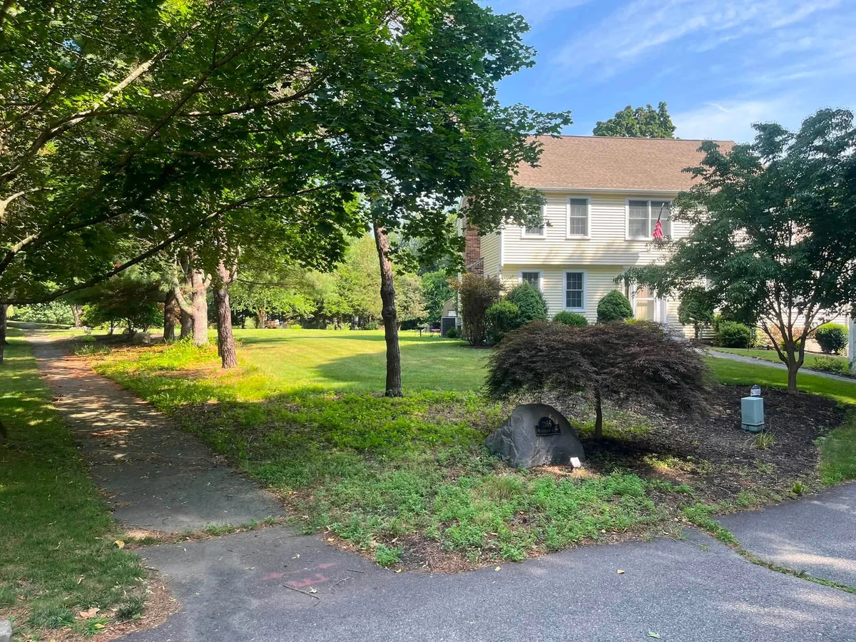 Residential mulch bed refresh around a Japanese maple and driveway island - Before