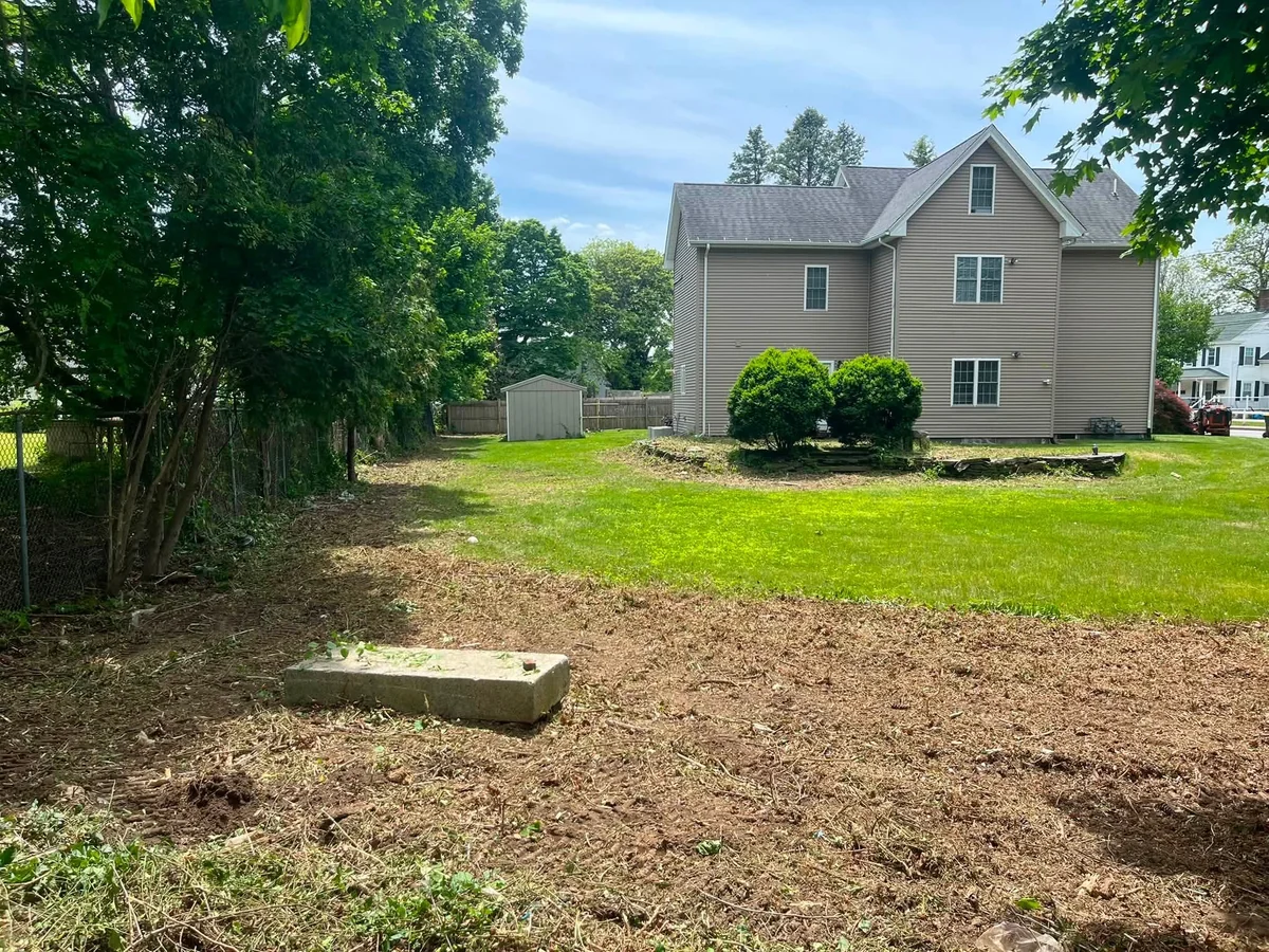 Dense residential backyard overgrowth cleared to open ground with skid steer - After