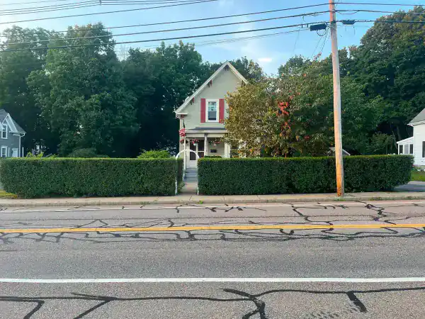 Roadside Hedge Trimming - completed work