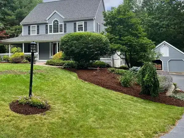 Tree ring mulch bed planting