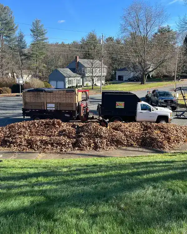 Fall leaf cleanup with TLC trucks