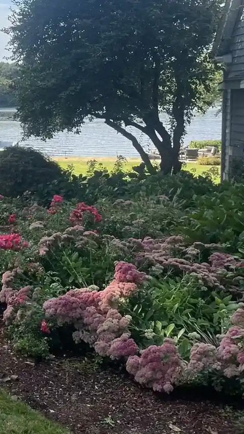 Lakefront property with flowering garden beds maintained by TLC Associates